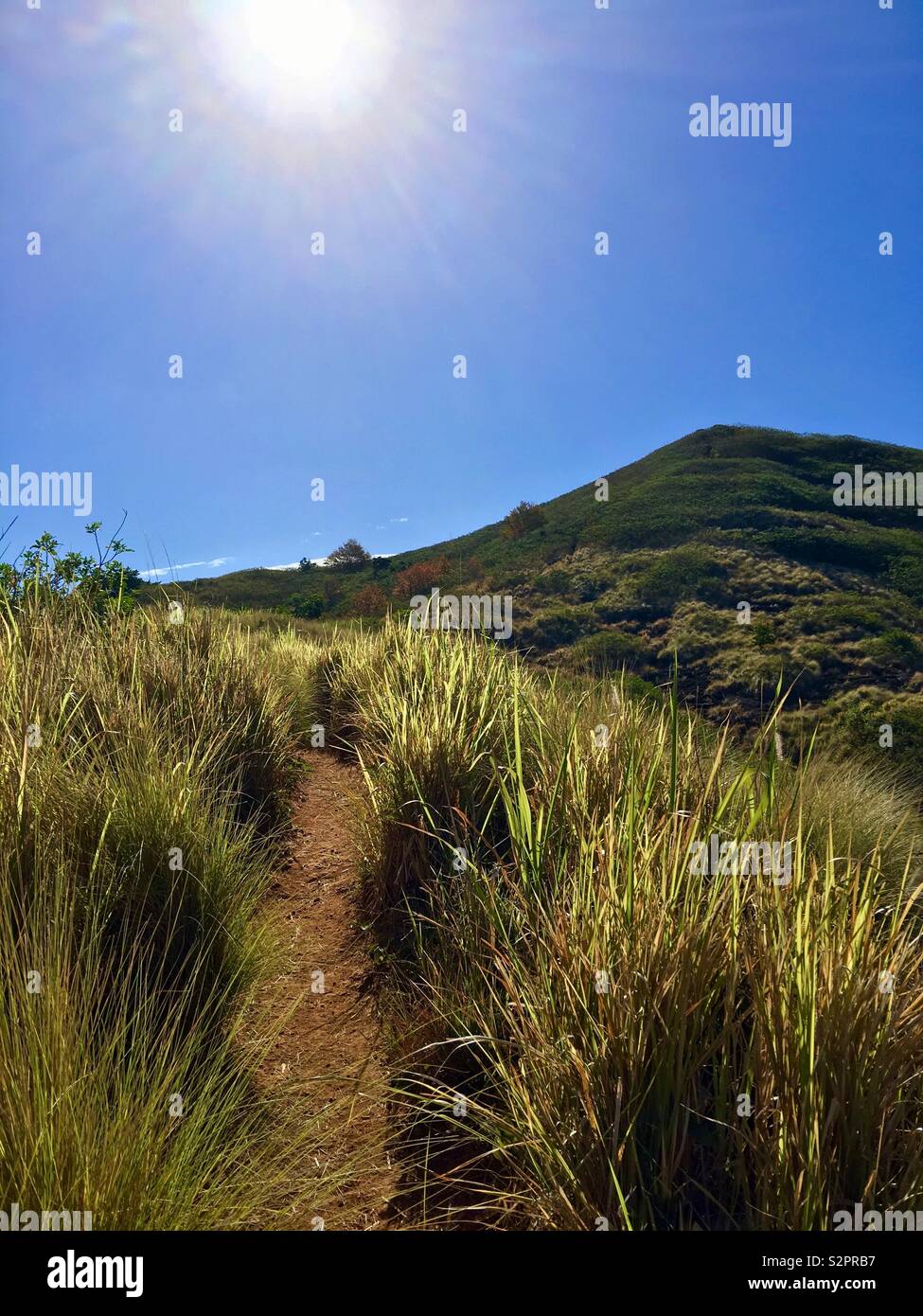 Hiking along the Pillbox Trail in Kailua, Hawaii (aka Lanikai Pillbox