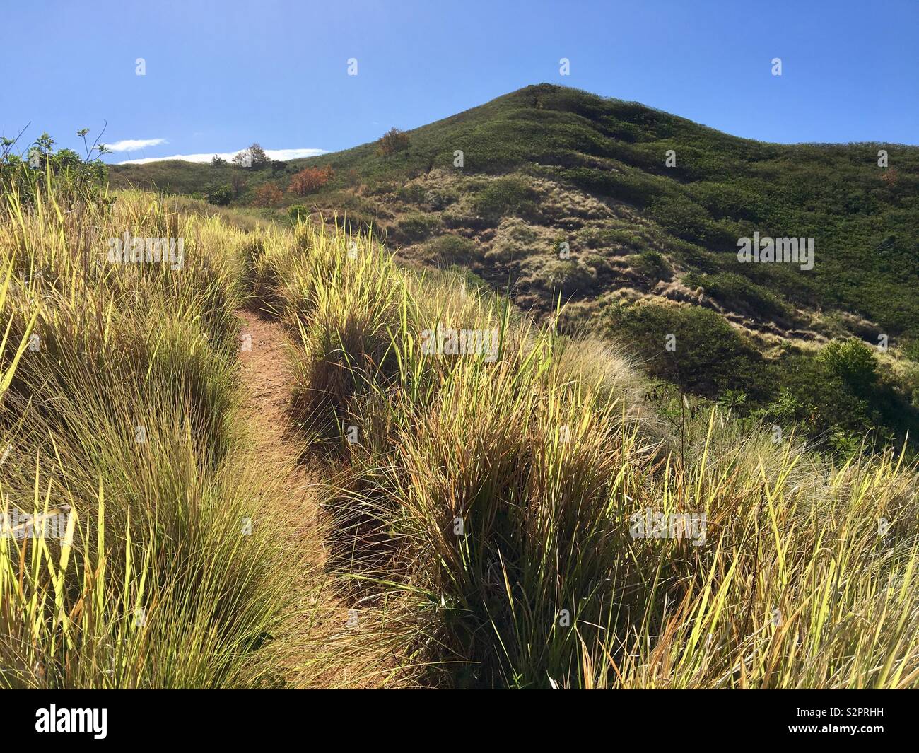 Pillbox Trail in Kailua, Hawaii (aka Lanikai Pillbox Hike) on Oahu