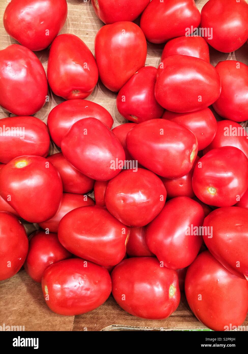 Fresh, ripe, and red tomatoes in a cardboard box. - Smartphone Captured Stock Image