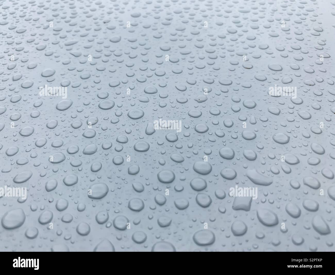 Rain droplets on white background Stock Photo