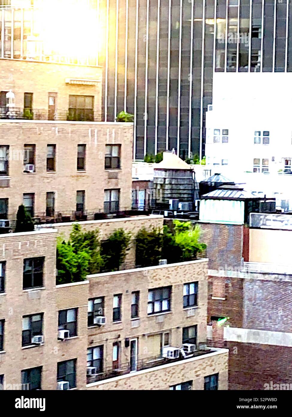 Sunrise over city apartment building Stock Photo
