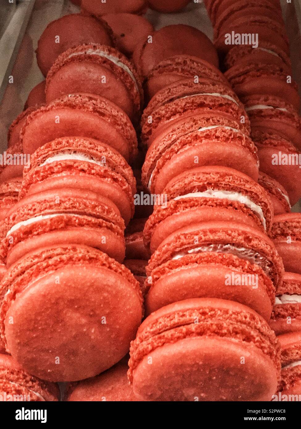 Fresh delicious pink macaron sandwich cookies. Stock Photo