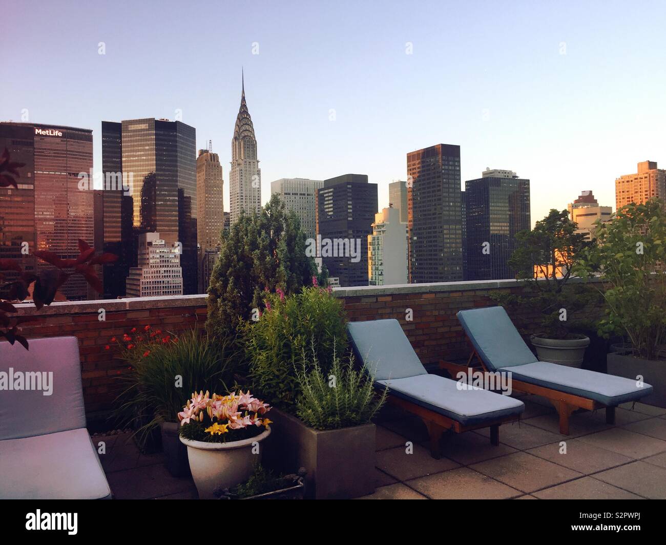A landscaped luxury rooftop in Murray Hill with midtown Manhattan skyscrapers in the background, NYC, USA - Smartphone Captured Stock Image