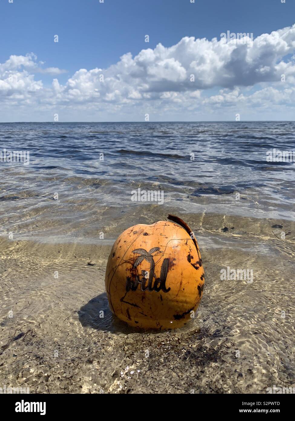 A tropical designed drink holder washed up on the bay - Smartphone Captured Stock Image