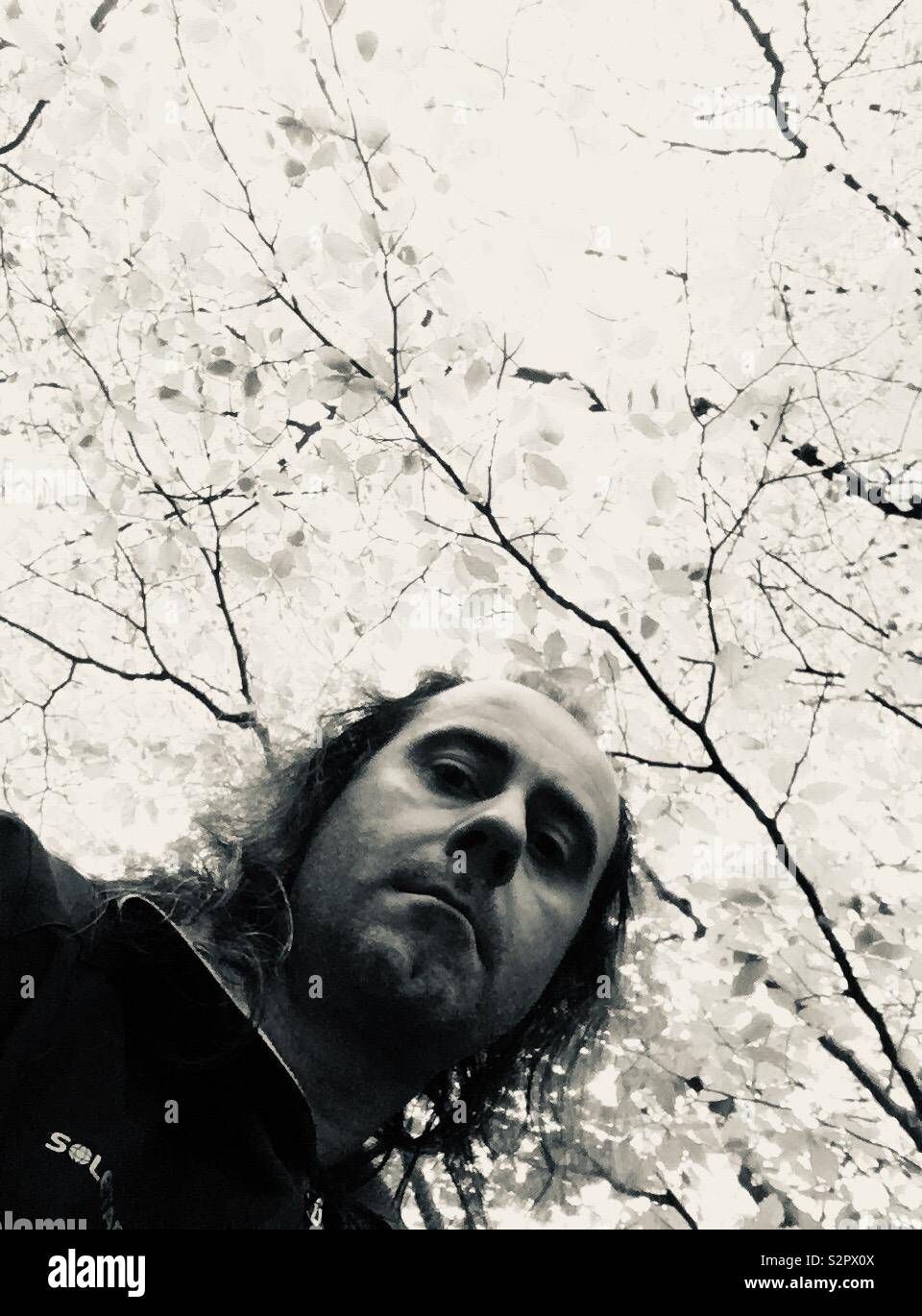 Portrait in the trees - Smartphone Captured Stock Image