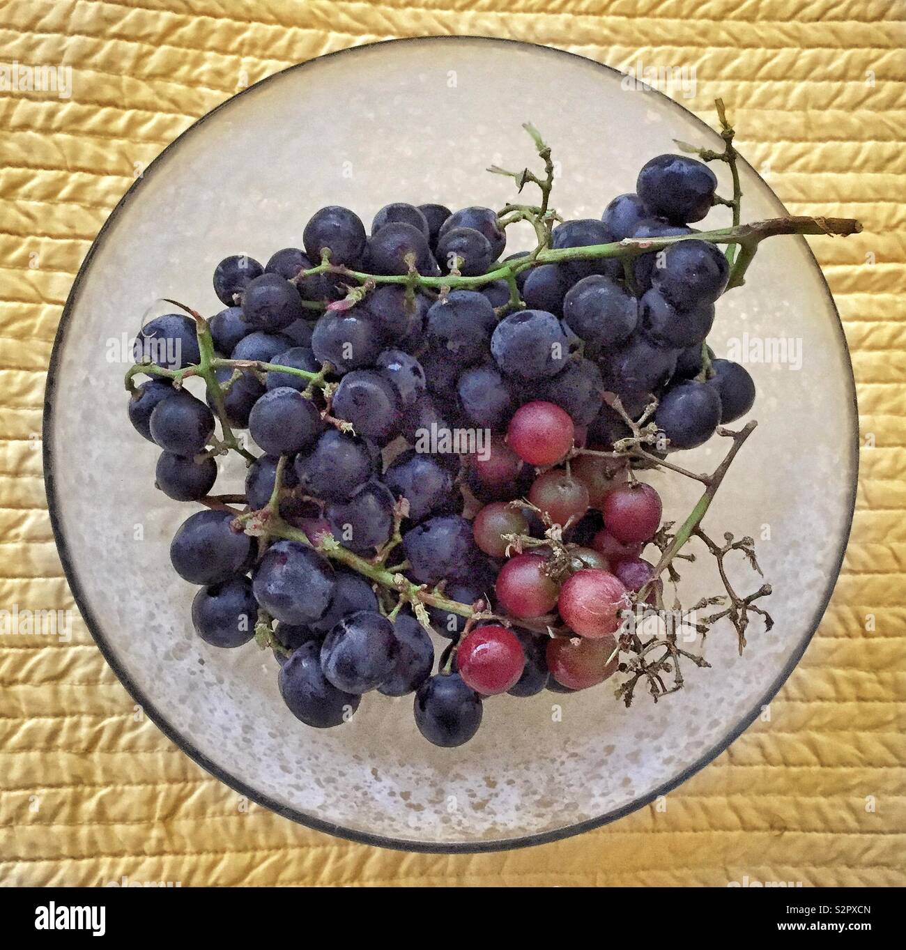 A bowl of black and red grapes on a yellow tablecloth Stock Photo