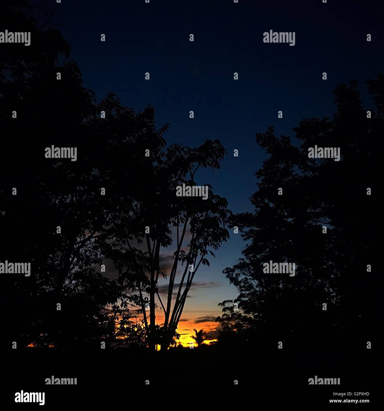 New Zealand sunset Stock Photo - Alamy