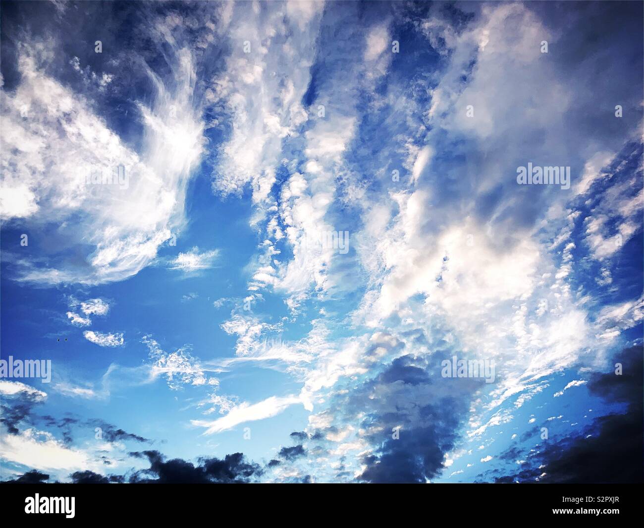 A low angle view a a wispy blue sky at sundown. Scattered clouds and blue tones provide a dusk cloudscape. - Smartphone Captured Stock Image