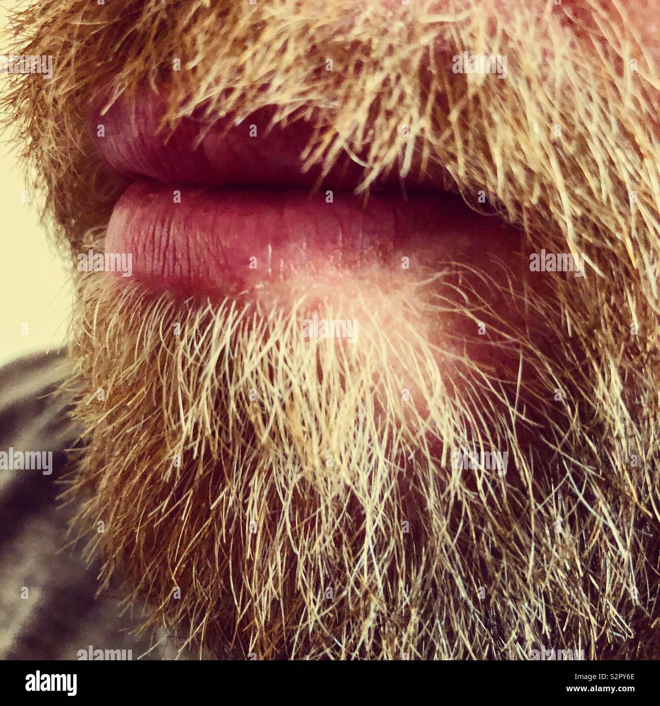 Mans beard Stock Photo