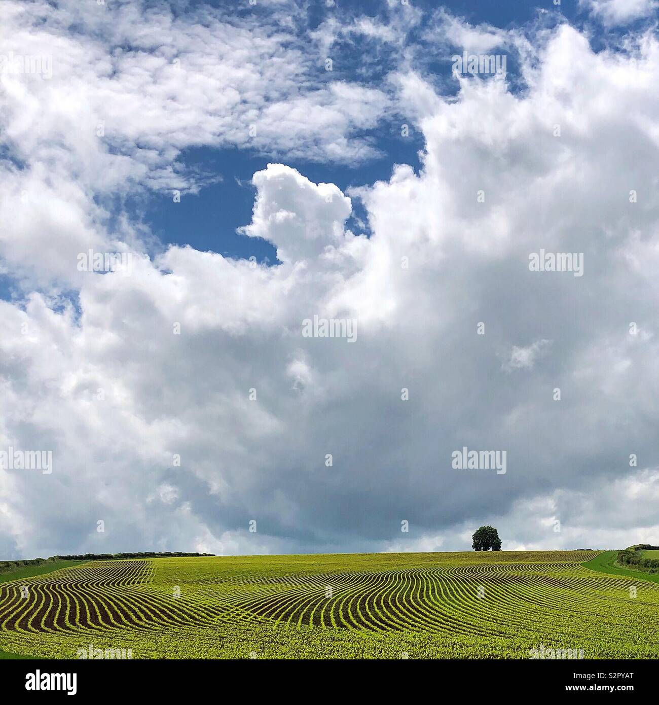 Farming patterns hi-res stock photography and images - Alamy