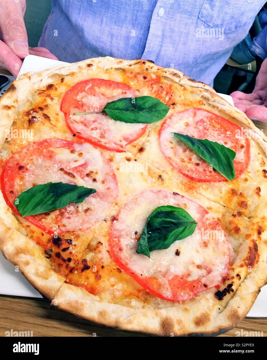 An individual pizza rustica, tomato, basil and mozzarella is served to a male diner - Smartphone Captured Stock Image