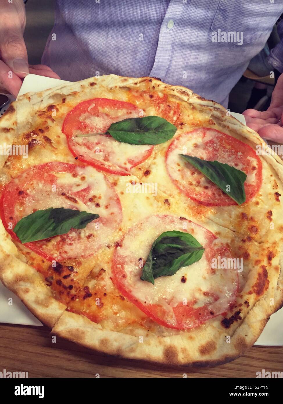 An individual tomato, basil, mozzarella pizza is served to a male diner - Smartphone Captured Stock Image
