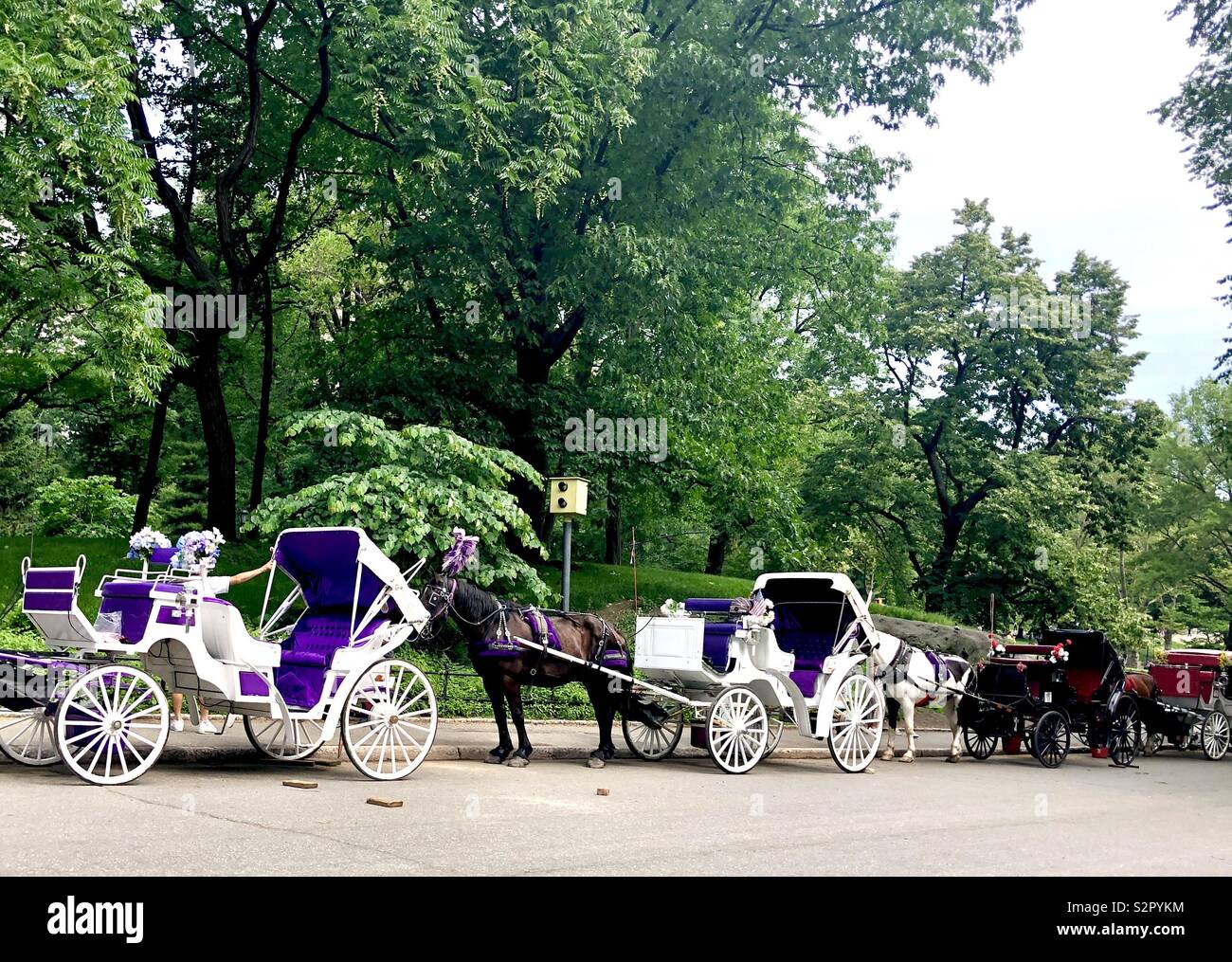Central park horse carriages hi-res stock photography and images - Alamy