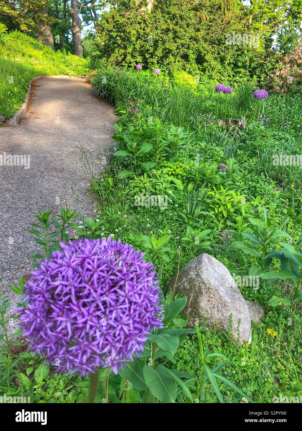 Follow the path through lush gardens in High Park, Toronto, Canada. - Smartphone Captured Stock Image