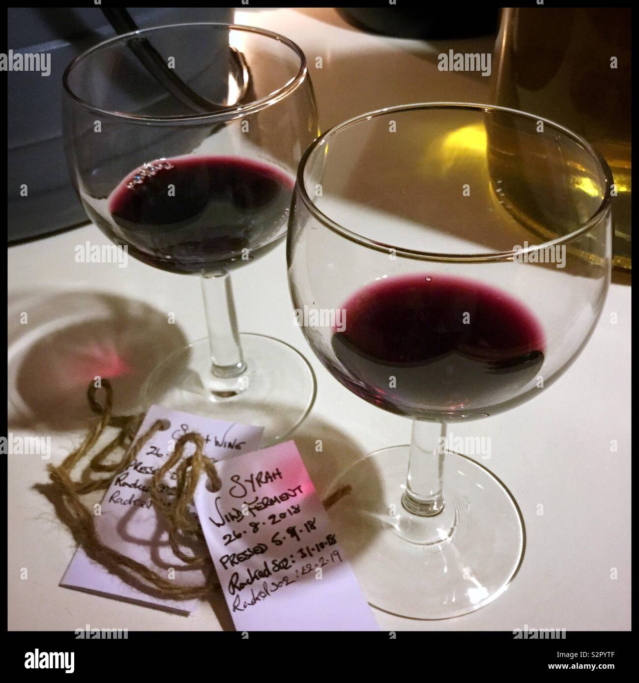 Syrah wine samples, Catalonia, Spain. - Smartphone Captured Stock Image