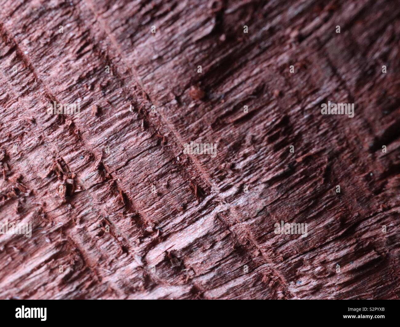 wood panel fence Stock Photo