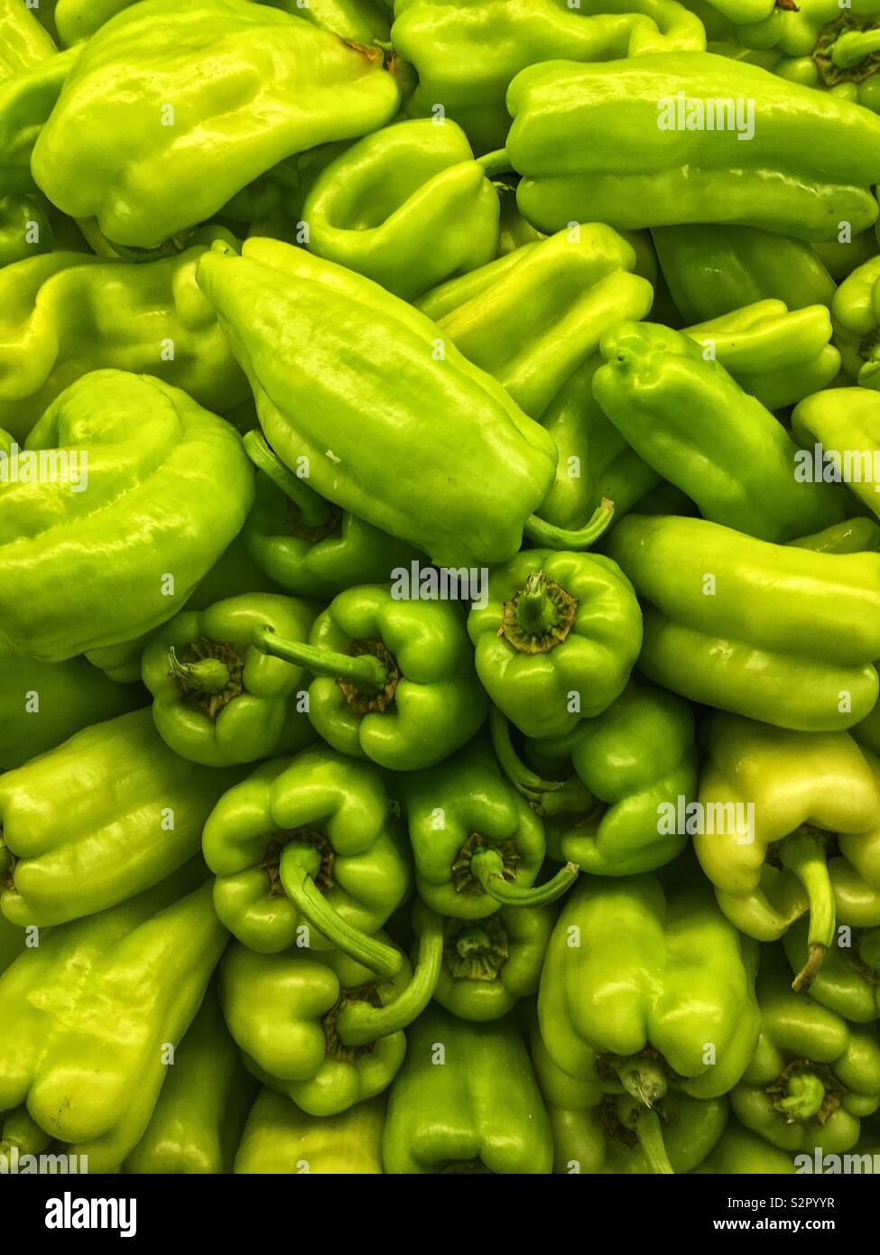 Full frame of many fresh ripe green cubanelle peppers. Stock Photo