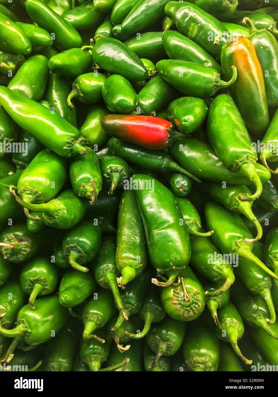 Full frame of fresh delicious ripe jalapeño peppers. - Smartphone Captured Stock Image