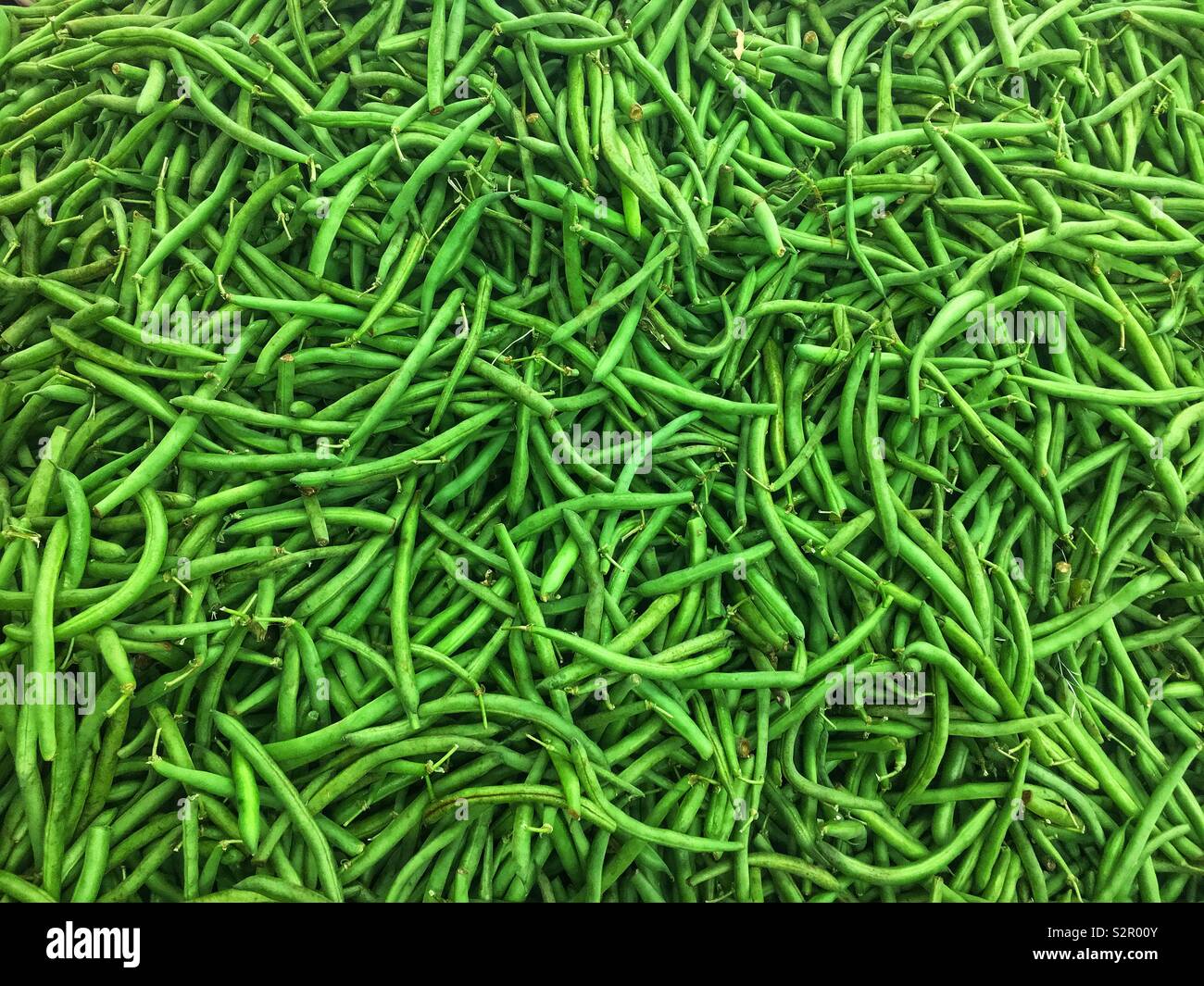 Full frame of many fresh delicious ripe raw string beans, green beans, haricot vert, snaps, snap beans, Phaseolus vulgaris. Stock Photo