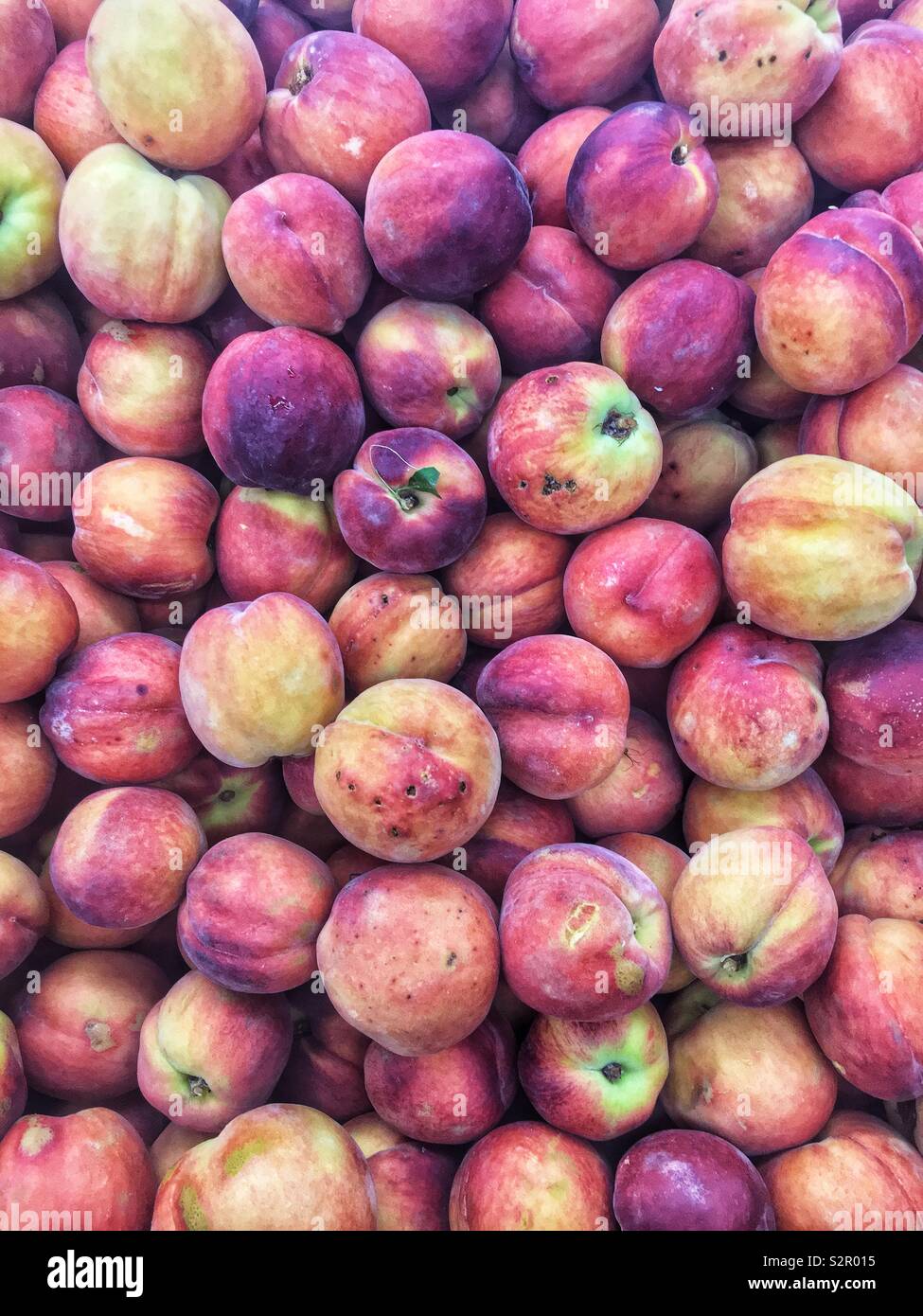 Full frame of many fresh delicious ripe raw peaches. Stock Photo