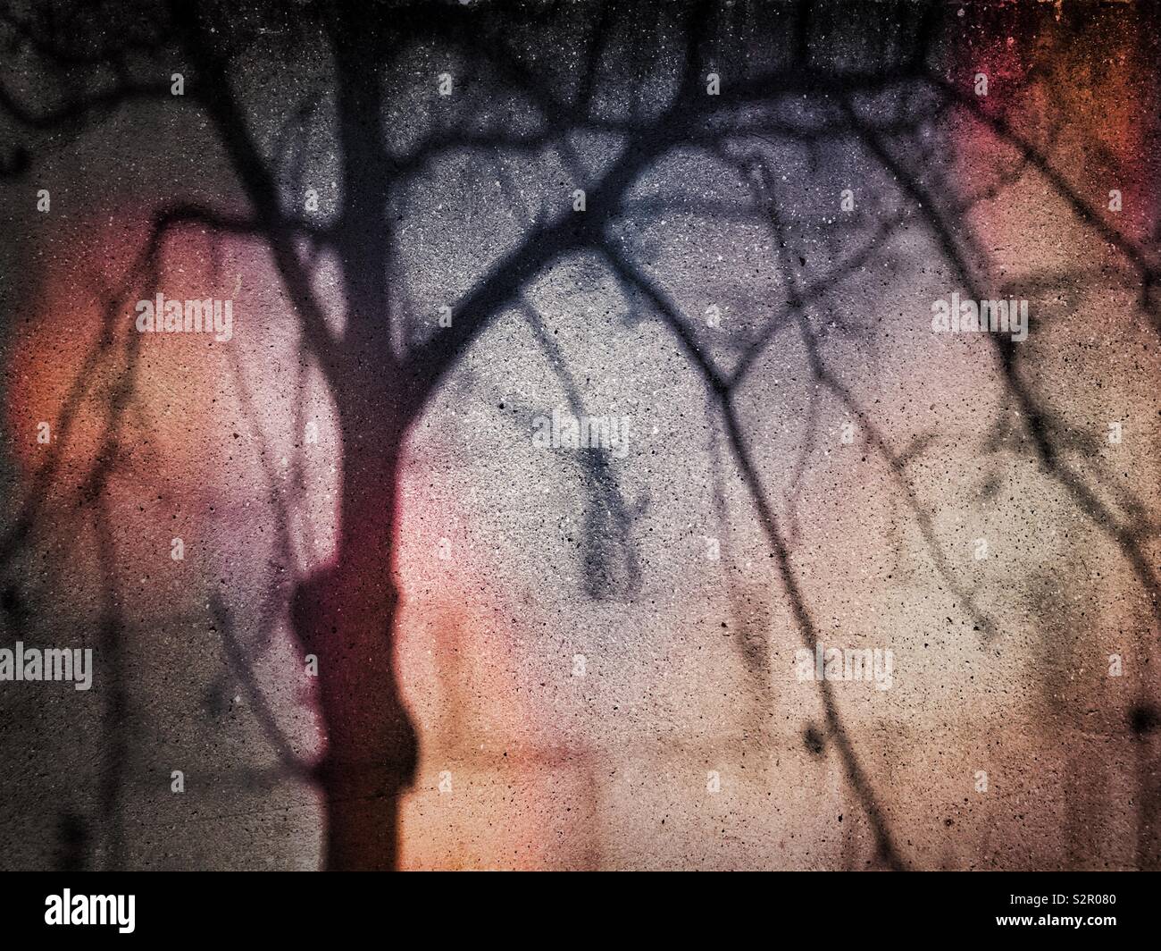 The shadow of a tree against a concrete wall - Smartphone Captured Stock Image