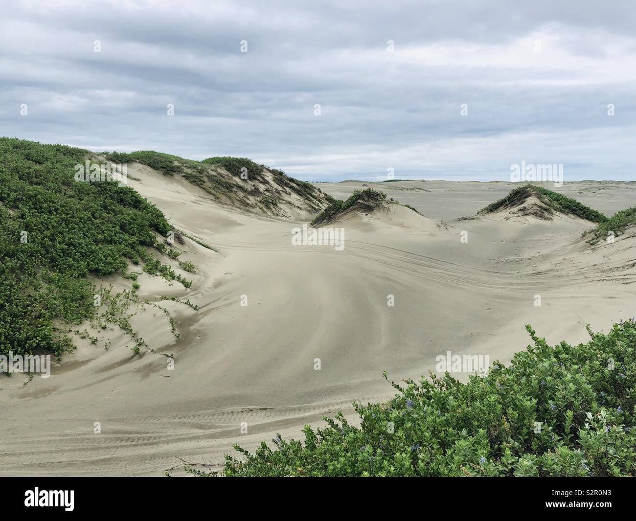 Paoay sand dunes is one of the famous tourist attractions in Ilocos region of the Philippines. - Smartphone Captured Stock Image