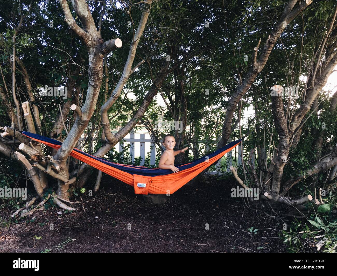 Boy sitting in an orange hammock in the trees. - Smartphone Captured Stock Image