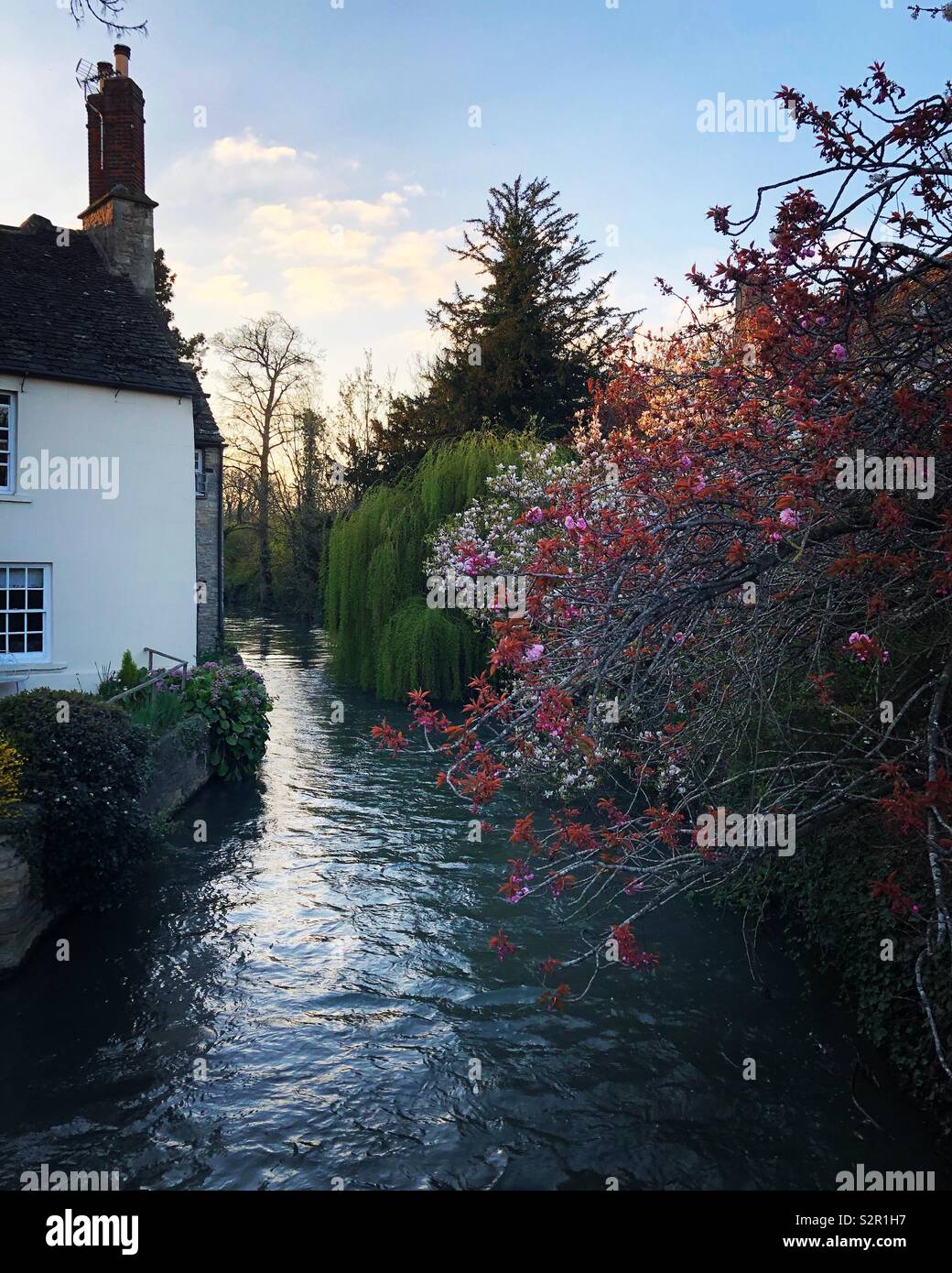 River windrush witney hires stock photography and images Alamy