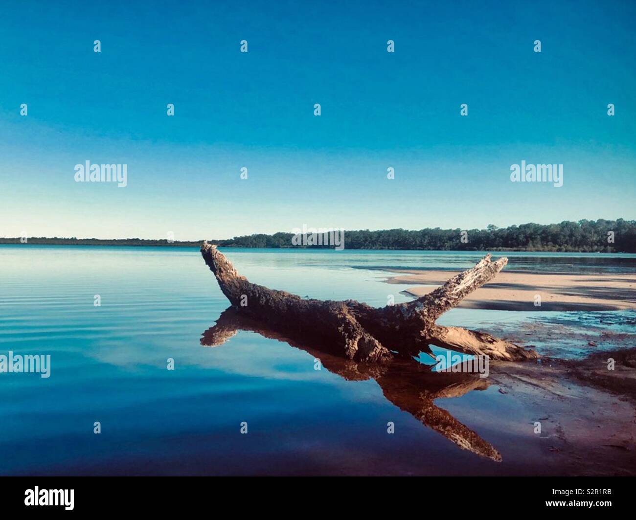 Peaceful lake scene  Lake Cooroibah Queensland Australia - Smartphone Captured Stock Image