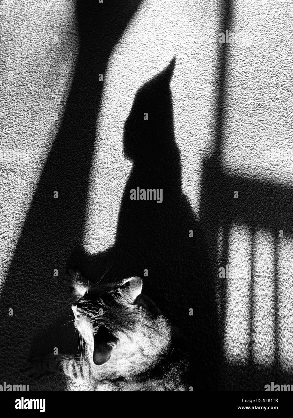 Shadow On The Sun - Smartphone Captured Stock Image