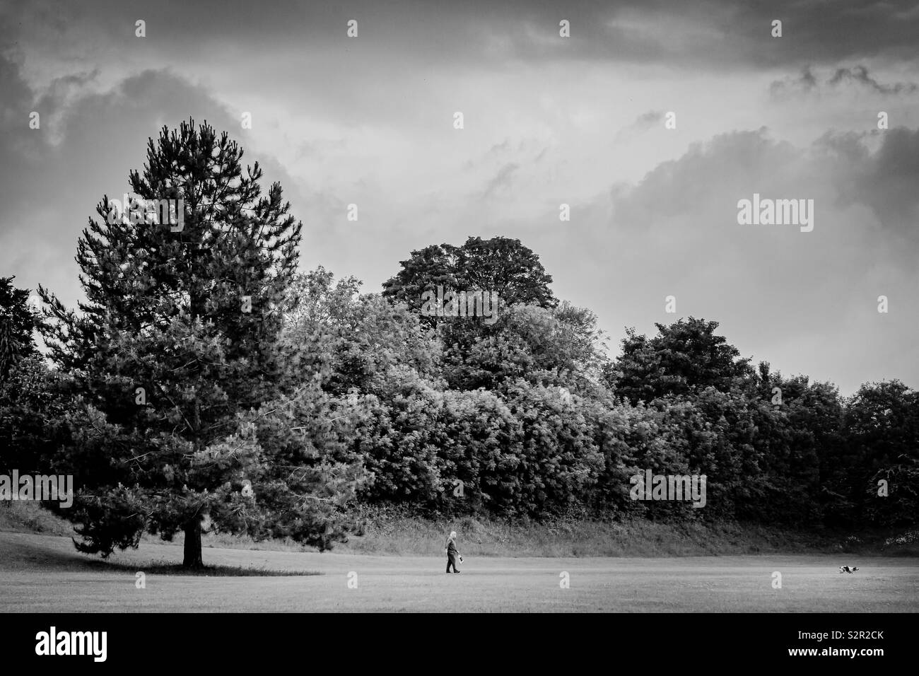 Basingstoke, Hampshire, UK. 19 June 2019. Elderly gentleman walking his dog in a park In Basingstoke. Stock Photo