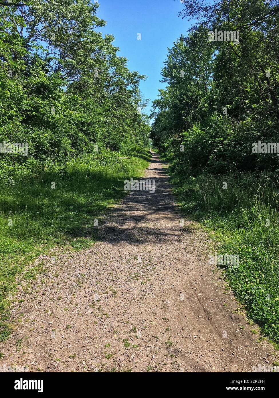 Abandoned railroad line turned into a nature walking path is a result of Chicago’s Rails to Trails non-profit grassroots activists working hard to make our city a better place. Stock Photo