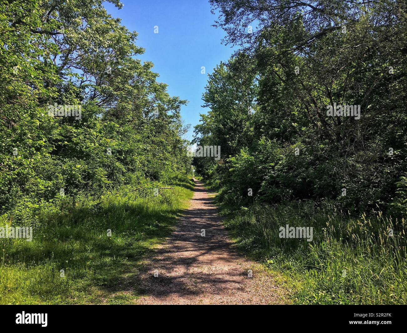 Abandoned railroad line turned into a nature walking path is a result of Chicago’s Rails to Trails non-profit grassroots activists working hard to make our city a better place. - Smartphone Captured Stock Image