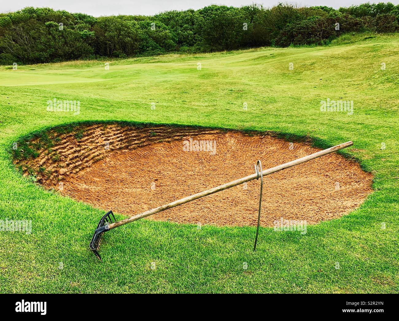 Bunker on golf course with rake on stand Stock Photo - Alamy
