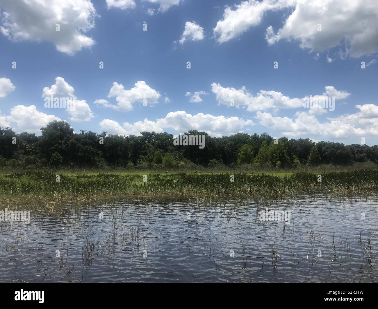 Boggy hires stock photography and images Alamy