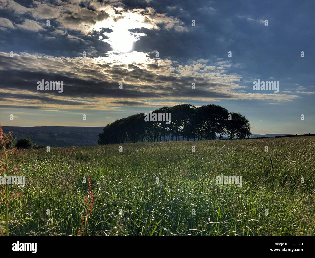 Evening sun over Ilkley Moor from Guiseley West Yorkshire - Smartphone Captured Stock Image