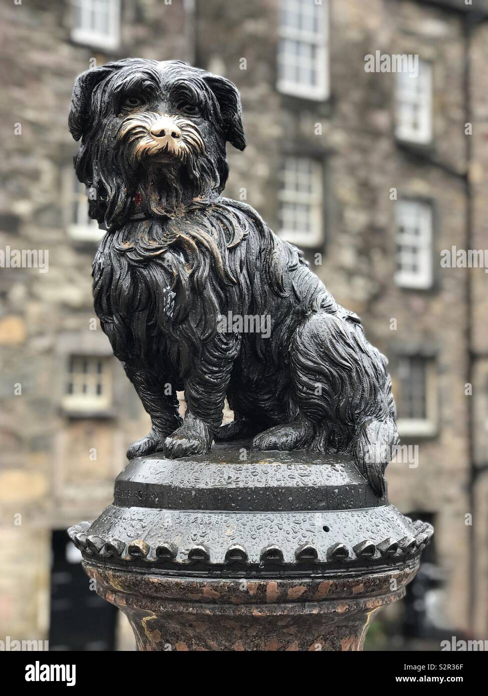 A statue of Greyfriars Bobby, a dog known for spending 14 years guarding his owner’s grave in the 1800s, is shown on display in Edinburgh, Scotland. The statue was unveiled in 1873. - Smartphone Captured Stock Image