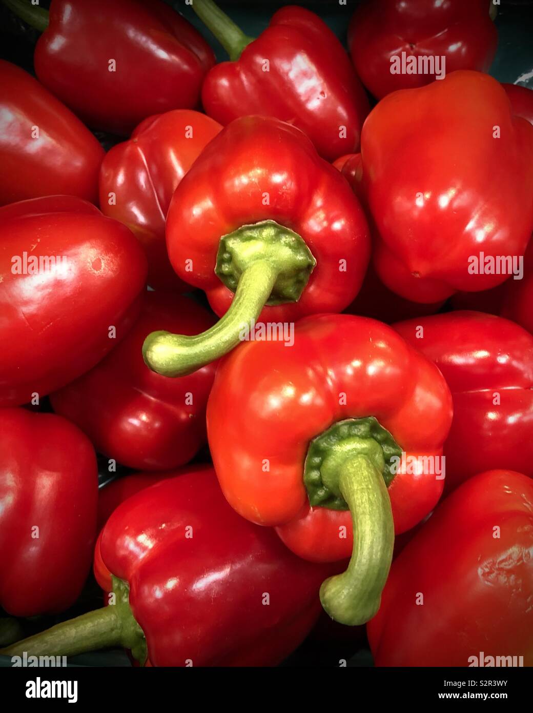 Red bell peppers on display in a market. - Smartphone Captured Stock Image