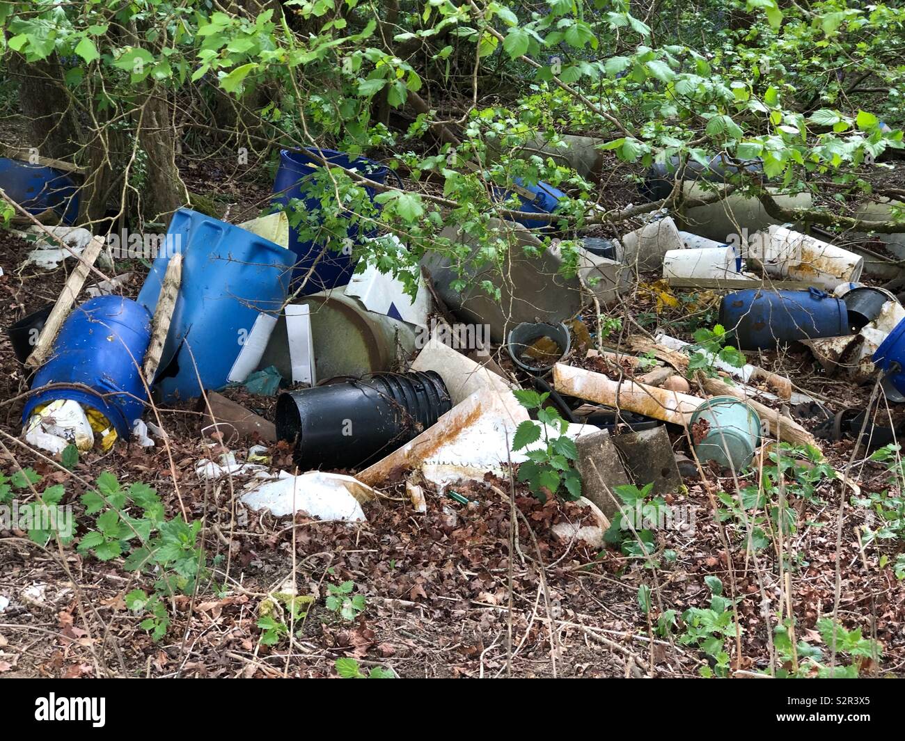 Discarded plastic and other waste dumped in a woodland. - Smartphone Captured Stock Image