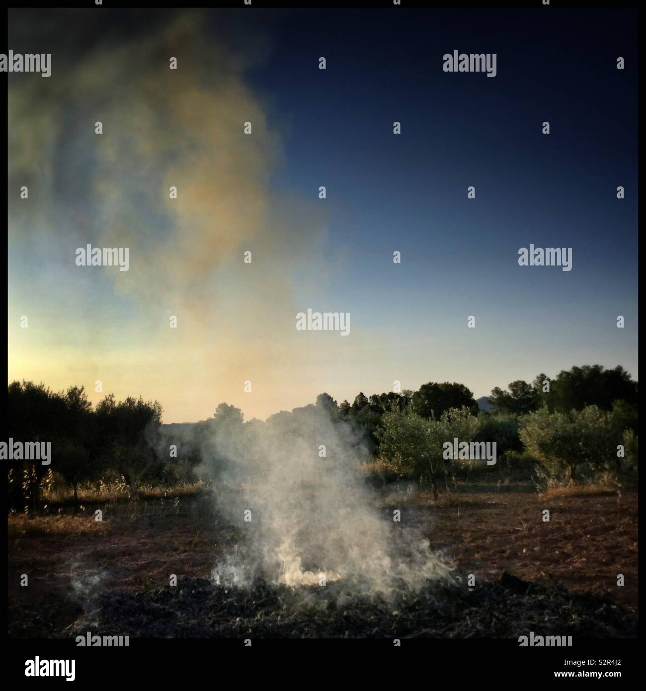 Remnants of a daybreak bonfire, Catalonia, Spain. - Smartphone Captured Stock Image