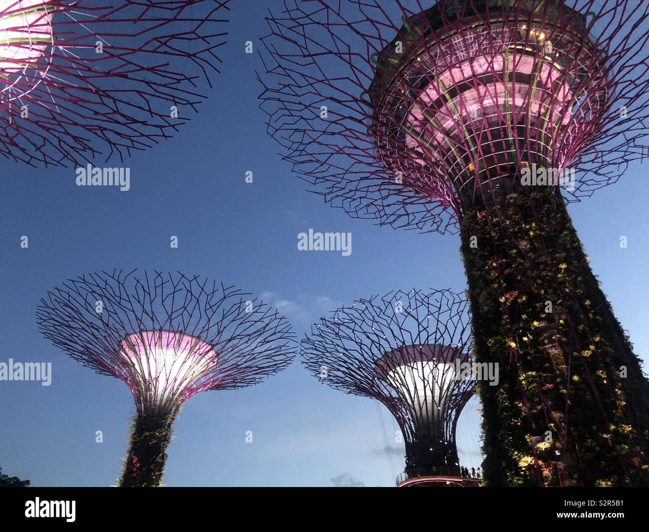 Gardens by the bay by night hi-res stock photography and images - Alamy