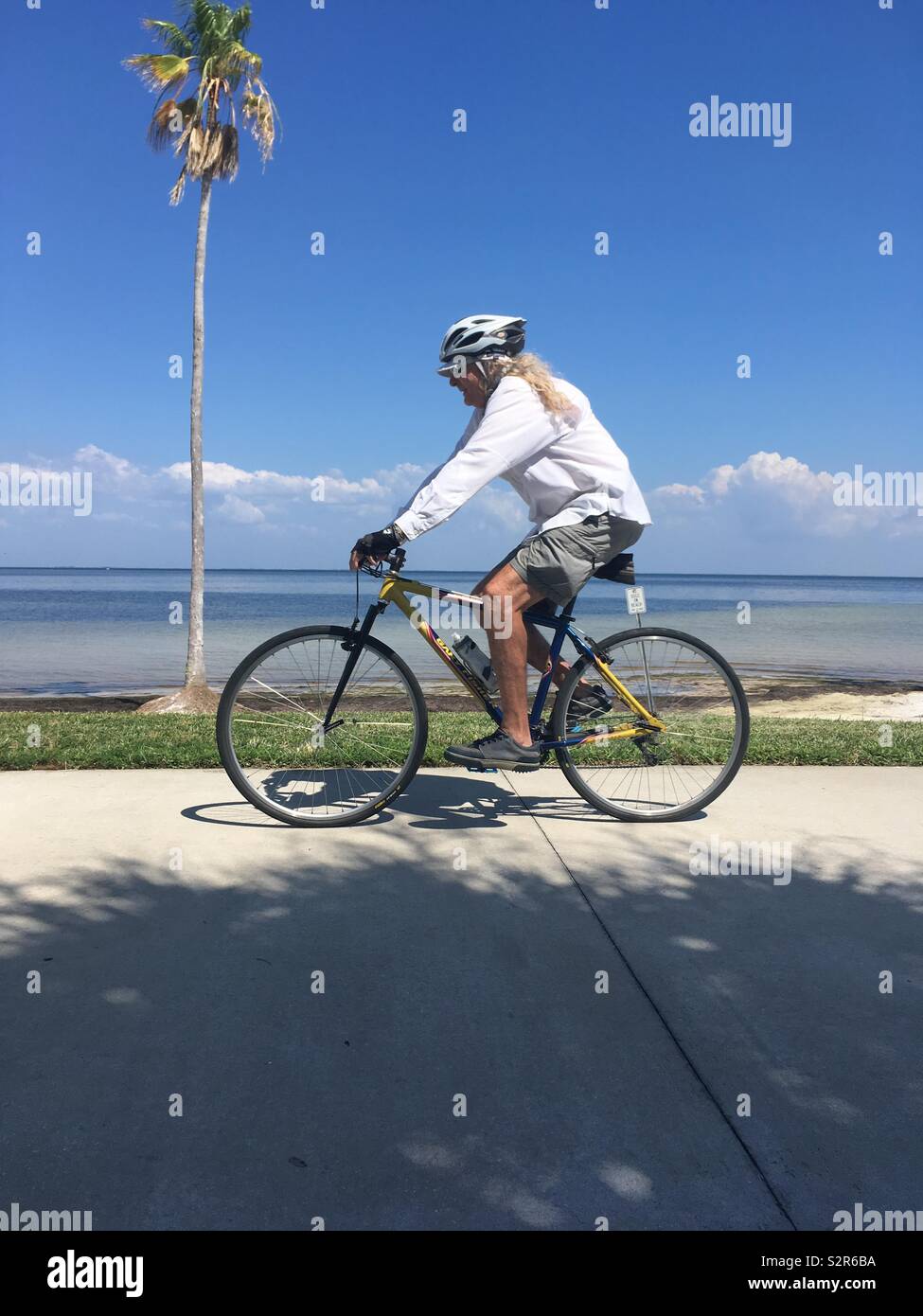 Man with long hair riding bike past a palm tree Stock Photo