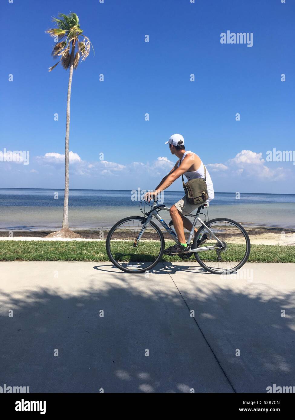 Man on bike cycling past palm tree, looking out to sea Stock Photo