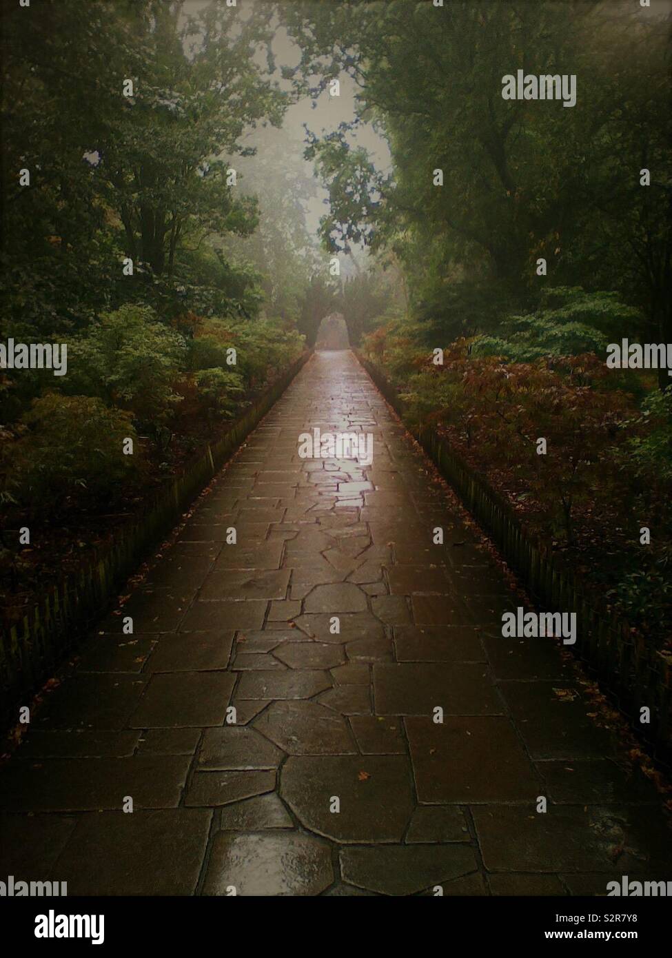 The path through the park shines after a heavy downpour creating an atmosphere of mystery - Smartphone Captured Stock Image