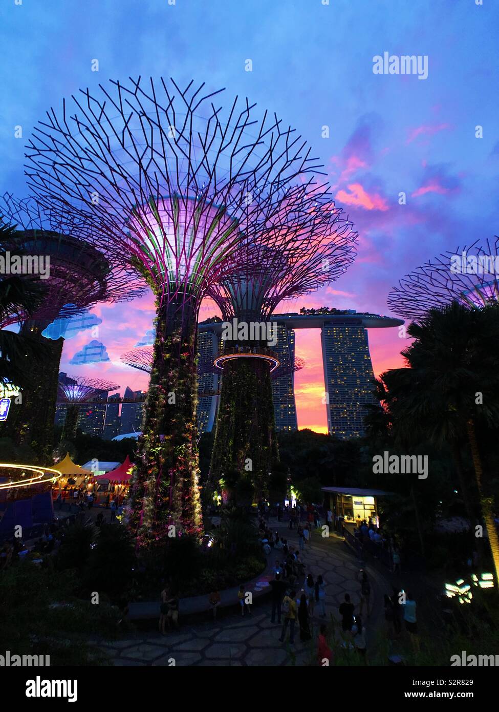 Gardens by the Bay, Singapore - Smartphone Captured Stock Image