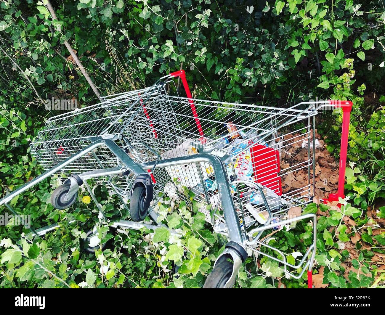 Abandoned shopping trollies full of rubbish - Smartphone Captured Stock Image