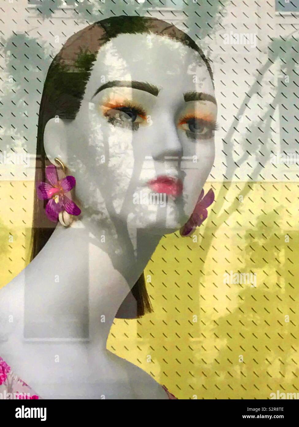 Mannequin face. - Smartphone Captured Stock Image