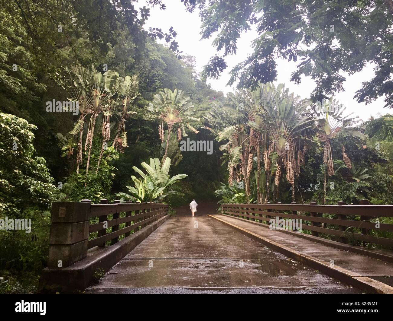 Waimea Botanical Gardens Stock Photos Waimea Botanical Gardens