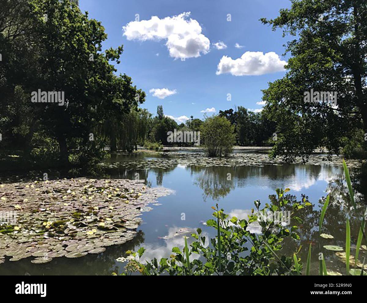 Tri-lakes Country Park, Yateley, Sandhurst, Surrey Stock Photo