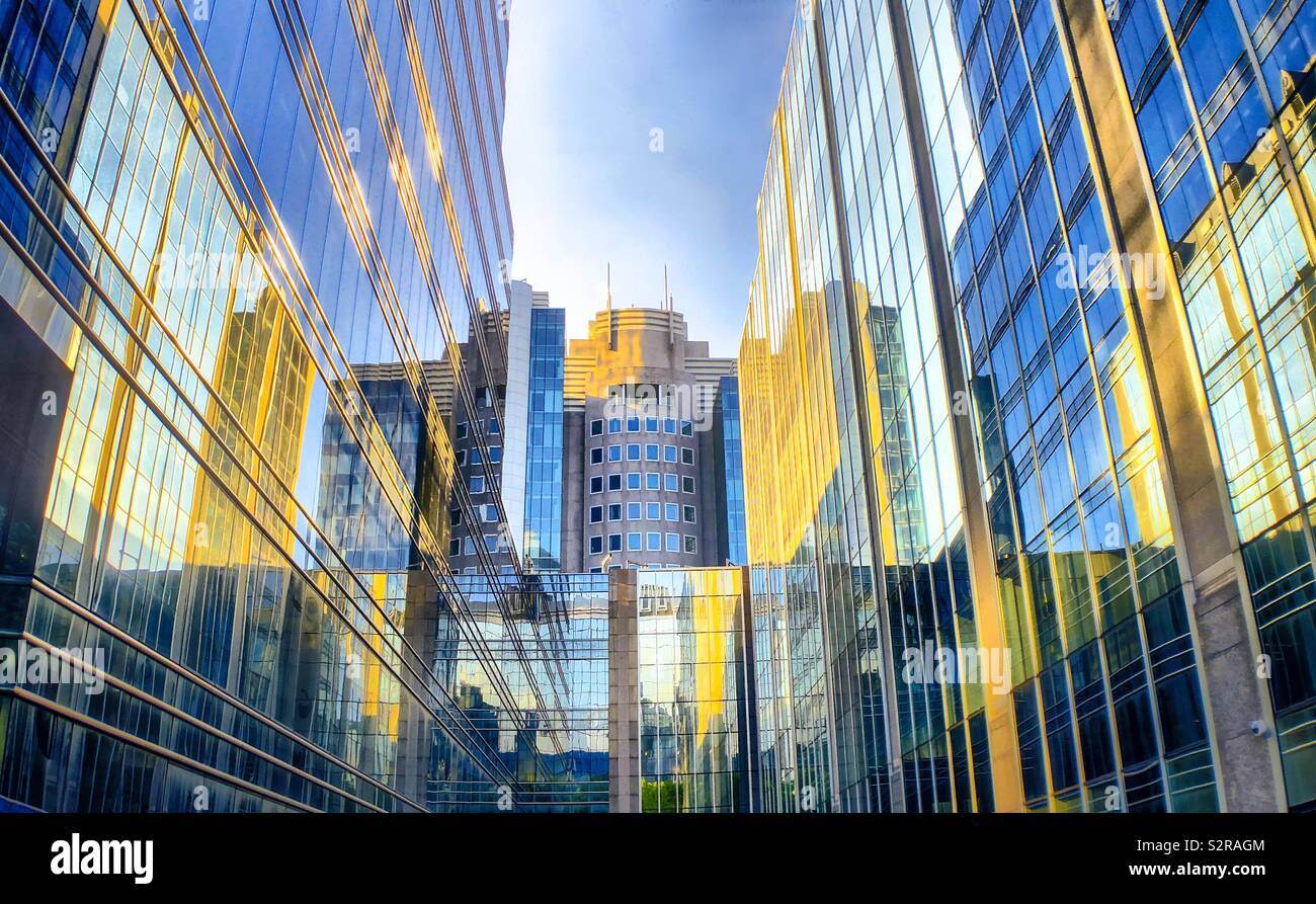 Blue sky and yellow sunrise light reflected in business office windows in the city - Smartphone Captured Stock Image